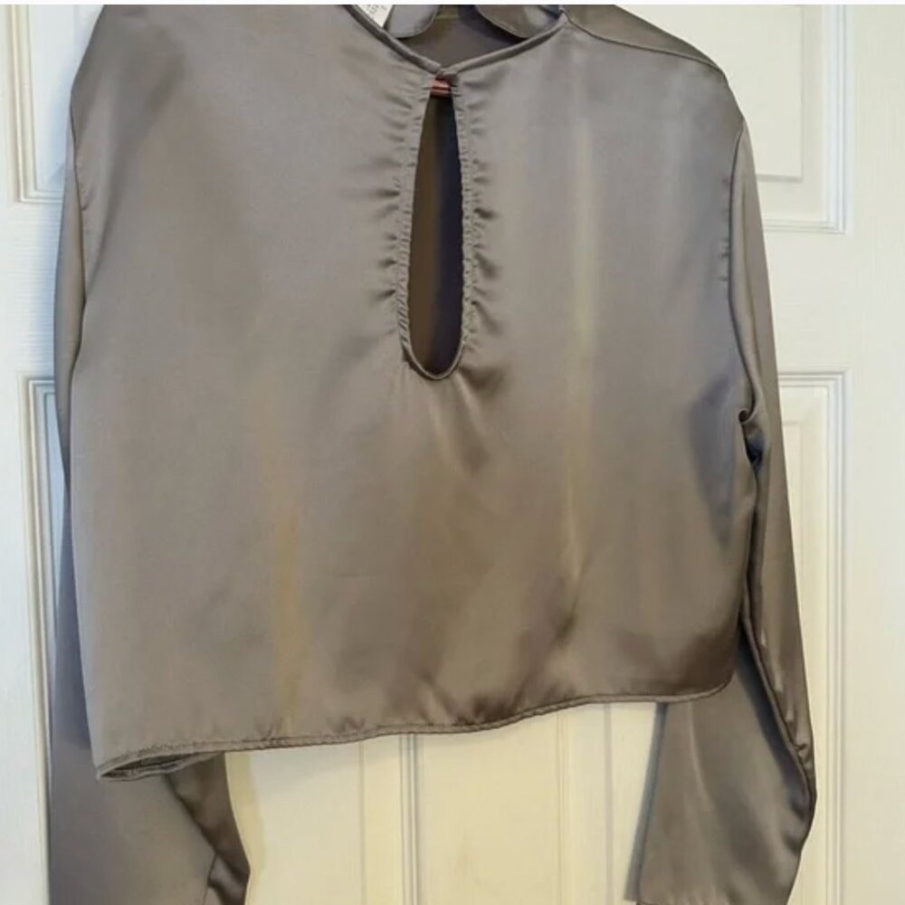 H&M Satin Long-Sleeve Blouse – Light Taupe Cropped Top